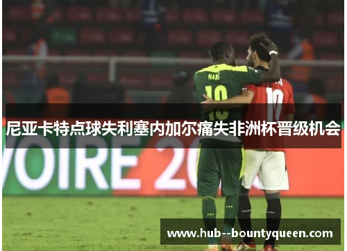 尼亚卡特点球失利塞内加尔痛失非洲杯晋级机会