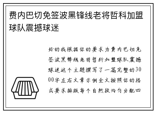 费内巴切免签波黑锋线老将哲科加盟球队震撼球迷